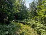 10 acres Brown Deer - Photo 14