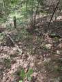 TBD Paint Lake - Photo 4