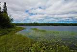 Lot 19 Keweenaw - Photo 4