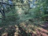 Lot 26-30 Willow - Photo 10
