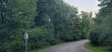 0 Hickory Rim - Photo 8