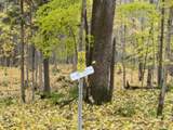 Lot 9 Little Africa Lake - Photo 13