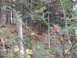 Lot 9 Little Africa Lake - Photo 17