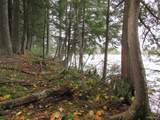 Lot 9 Little Africa Lake - Photo 23