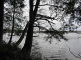Lot 9 Little Africa Lake - Photo 24