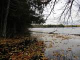 Lot 9 Little Africa Lake - Photo 5