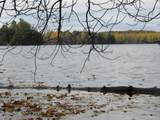 Lot 9 Little Africa Lake - Photo 6