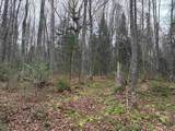 Lot 11 Keweenaw - Photo 16