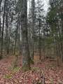 Lot 11 Keweenaw - Photo 17
