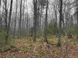 Lot 11 Keweenaw - Photo 18