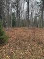 Lot 11 Keweenaw - Photo 2