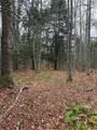 Lot 11 Keweenaw - Photo 3