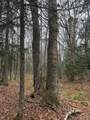 Lot 11 Keweenaw - Photo 4