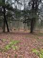 Lot 11 Keweenaw - Photo 5