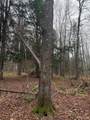 Lot 11 Keweenaw - Photo 6