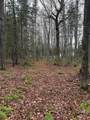 Lot 11 Keweenaw - Photo 7