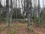 Lot 11 Keweenaw - Photo 8