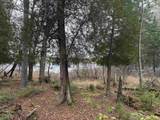 Lot 11 Keweenaw - Photo 9