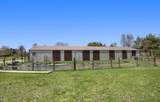 11249 Frankie Lane - Photo 7