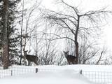 59357 Lakeshore - Photo 68