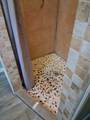 12160 Neff - Photo 14