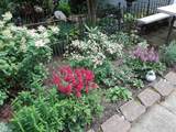 8086 Emily - Photo 35