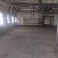 69264 Main - Photo 6