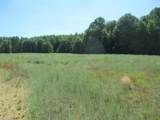6830 Sandy - Photo 9