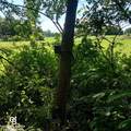 1182 Fetting Vl - Photo 16