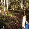 1182 Fetting Vl - Photo 17