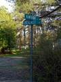 7333 Hawthorne - Photo 2