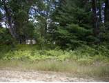  Pinecone - Photo 1