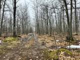 280 Acres off Pikes Peak - Photo 1