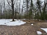280 Acres off Pikes Peak - Photo 16