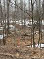 280 Acres off Pikes Peak - Photo 4