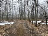 280 Acres off Pikes Peak - Photo 5