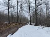 280 Acres off Pikes Peak - Photo 6