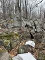 280 Acres off Pikes Peak - Photo 8