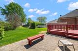 33548 Farmview - Photo 3