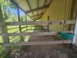 6221 Clarence - Photo 18
