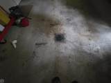 10231 Linden - Photo 34
