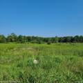 0000 7 MILE - Photo 2