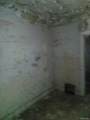 9359 Broadstreet - Photo 14