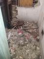 9359 Broadstreet - Photo 5