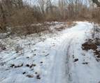 46955 Shiloh Way - Photo 47
