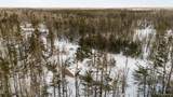 2836 Lone Pine - Photo 41