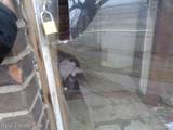 13445 Maiden - Photo 11
