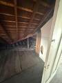 2330 Buena Vista - Photo 29