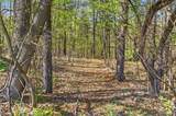 3295 Burning Tree - Photo 52