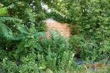 18651 & 18653 Kelly Rd - Photo 12